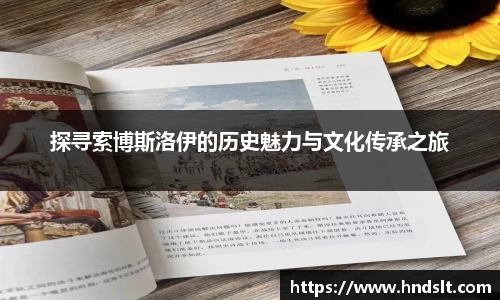 探寻索博斯洛伊的历史魅力与文化传承之旅
